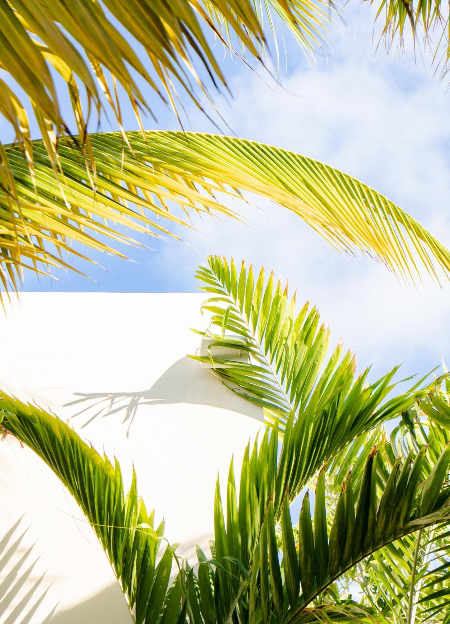 Le Martin Boutique Hotel Cul de Sac Luaran gambar